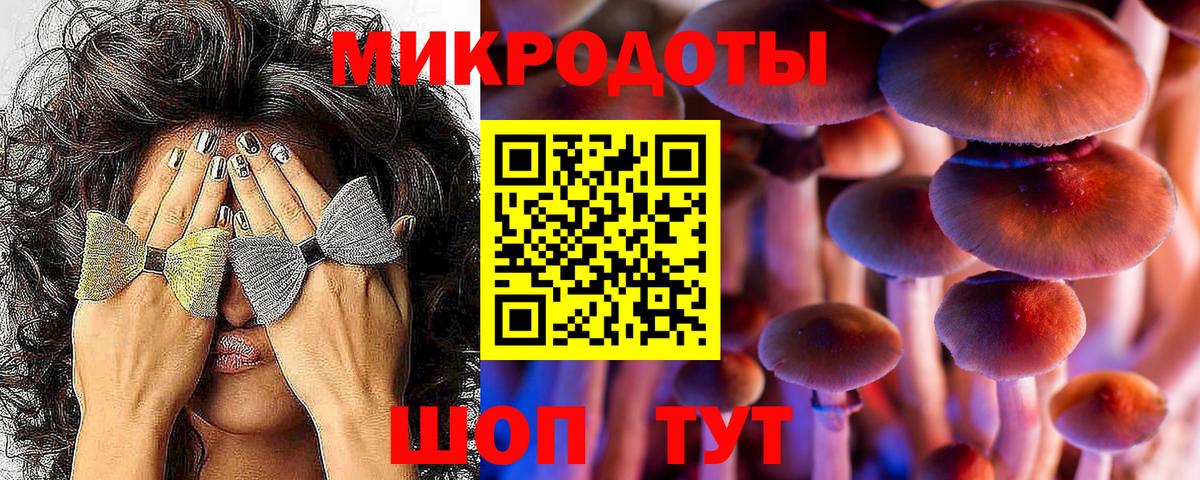 Псилоцибиновые грибы GOLDEN TEACHER Назарово