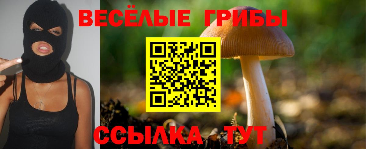Псилоцибиновые грибы Cubensis  Вход с VPN  Назарово  Псилоцибиновые грибы MAGIC MUSHROOMS 